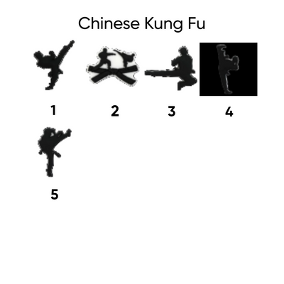Chinese kung fu pins