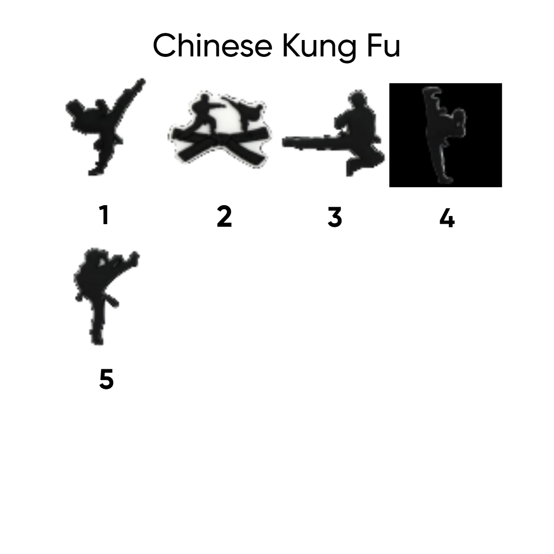 Chinese kung fu pins