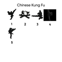 Chinese kung fu pins