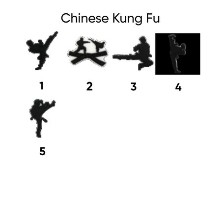 Chinese kung fu pins