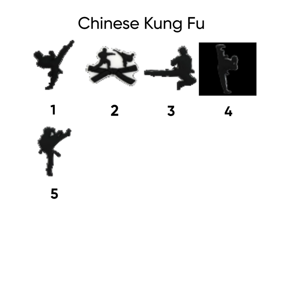 Chinese kung fu pins