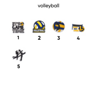 Volleyball pins