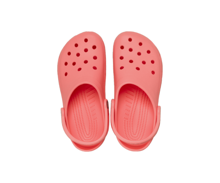 classic clog sandals in Guava